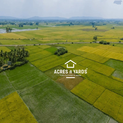 Agriculture  Land For Sale-1