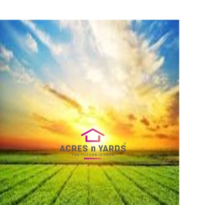 Agriculture Land For Sale-1