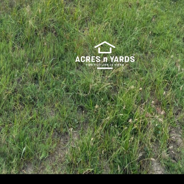 Agriculture Land-1