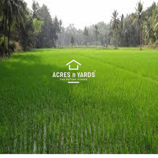 Agriculture  Land For Sale-1