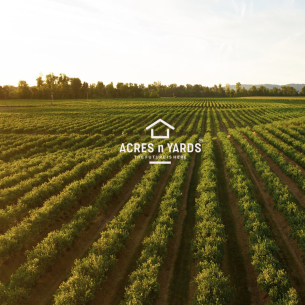 Agriculture  Land For Sale-1