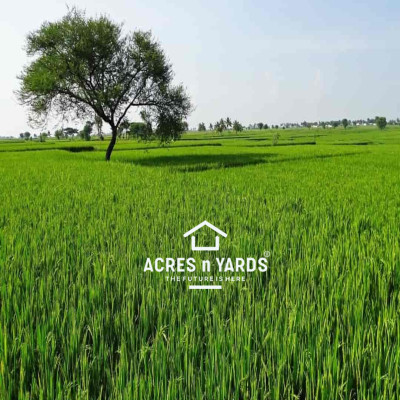 Agriculture  Land For Sale