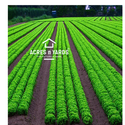 Agriculture  Land For Sale