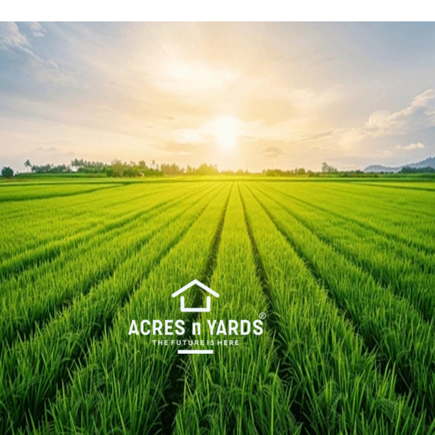 Agriculture  Land For Sale-1