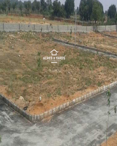 Open Plot For Sale